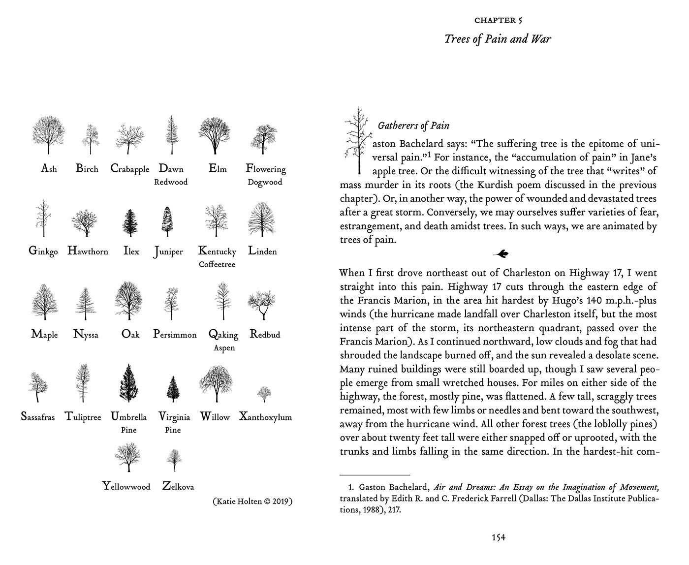 Cover for The Power of Trees